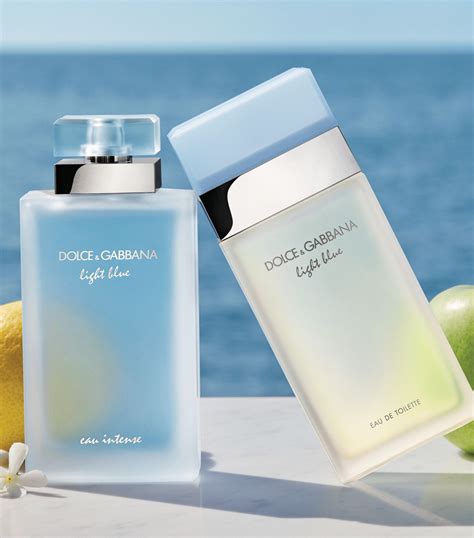 dolce and gabbana light blue 100ml price|cheapest dolce gabbana light blue.